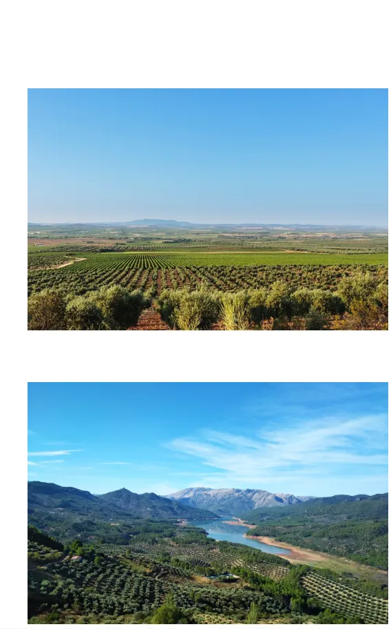 paisaje castellano